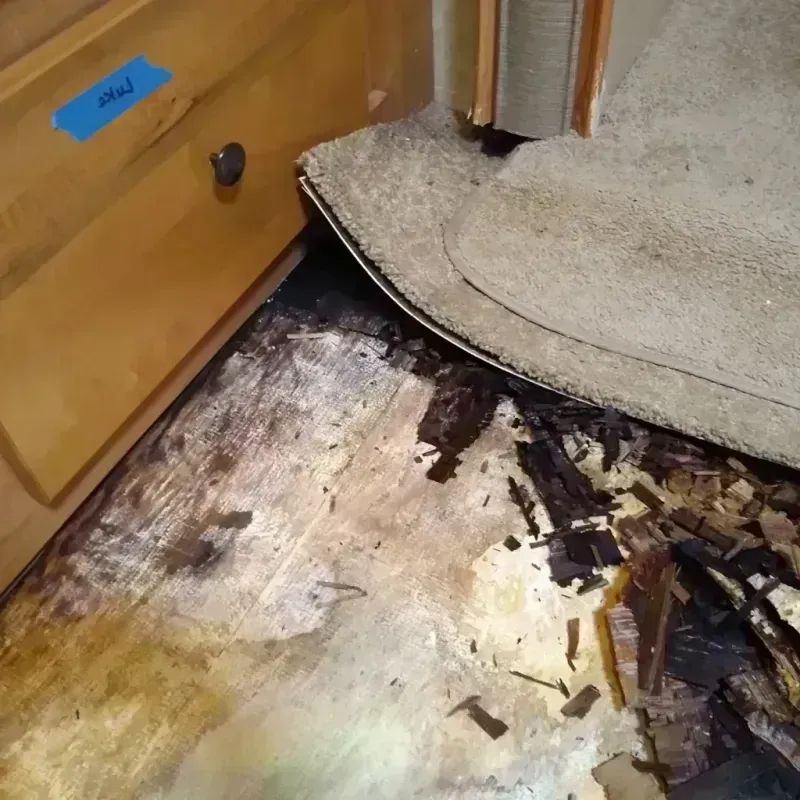 Wood Floor Water Damage in Lely, FL